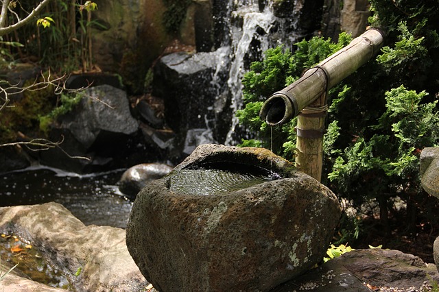 Jardin Japonais