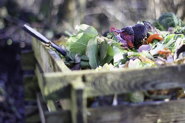 Les déchets de cuisine, du compost!