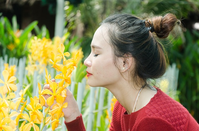 Comment faire fleurir à nouveau une orchidée