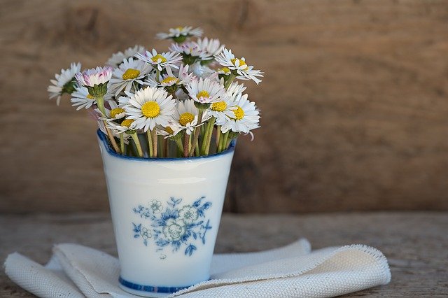 Marguerites