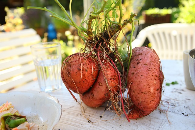 Conservez  les graines, les noyaux et les restes de fruits et légumes - vous pouvez les utiliser pour faire pousser de nouvelles plantes