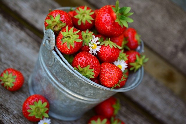 fraises 