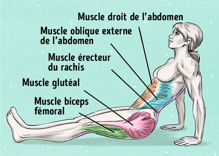 Planche inversée exercice 