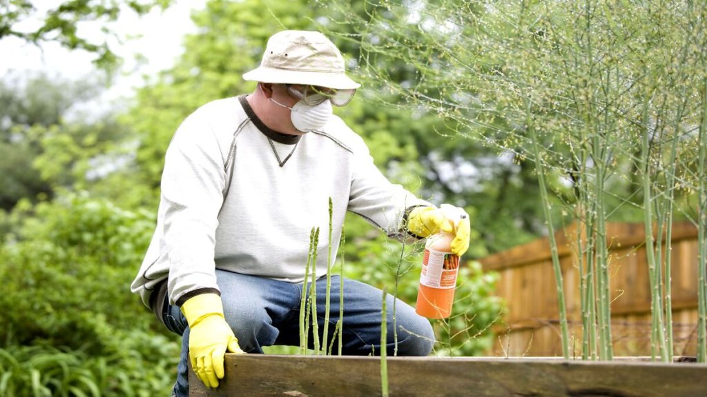 Insecticides naturels fait maison : Sauvez votre jardin sans tuer la terre