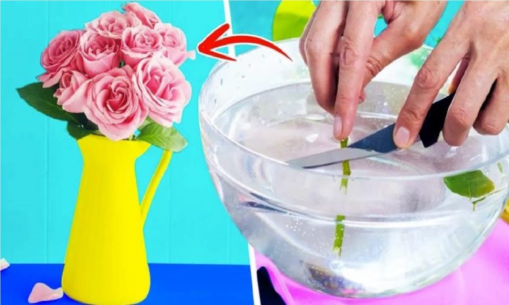 L’astuce des fleuristes pour conserver les fleurs dans un vase 3 fois plus longtemps