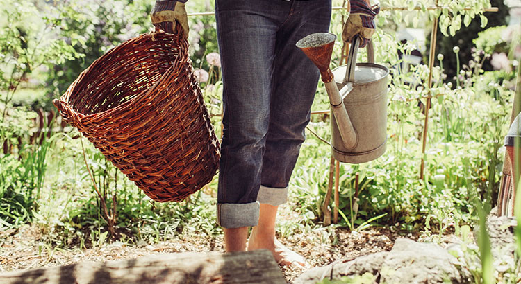 Les bienfaits du jardin pour la santé, c’est prouvé !