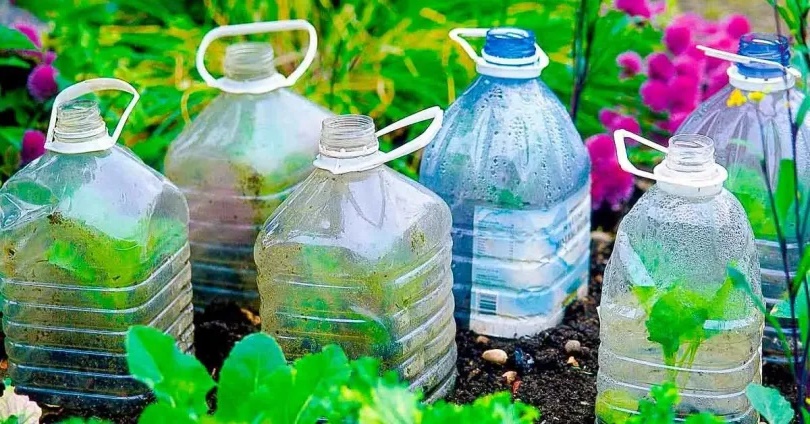 Pourquoi est-il important de planter des bouteilles en plastique dans le jardin en octobre ?