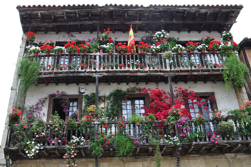 Faites fleurir votre balcon