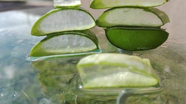 Voici Comment Couper Et Utiliser Le Gel D’une Feuille d’Aloe Vera