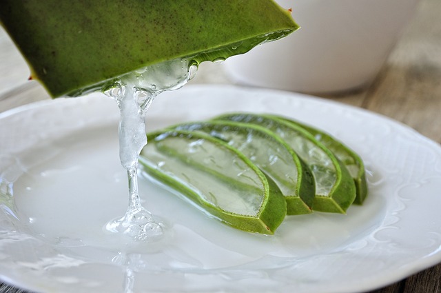 Voici Comment Couper Et Utiliser Le Gel D’une Feuille d’Aloe Vera