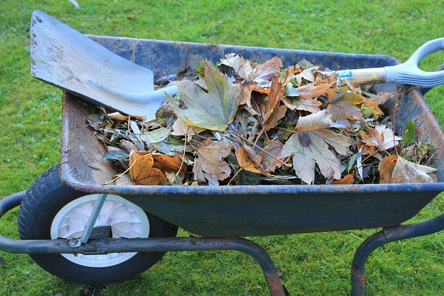 10 conseils pour faire un très bon compost