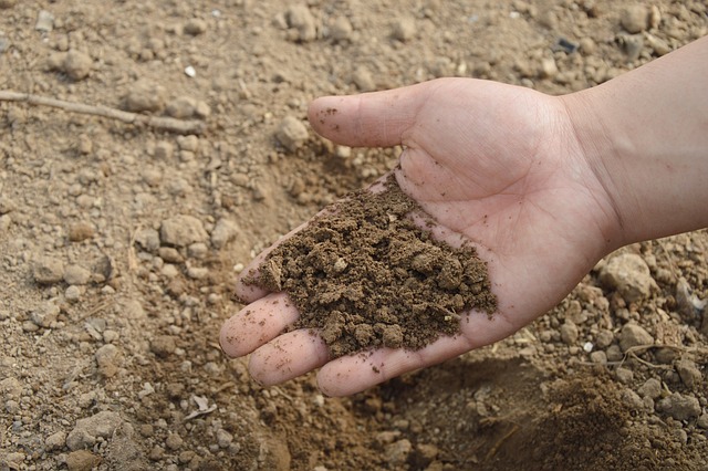 Comment évaluer la qualité du sol