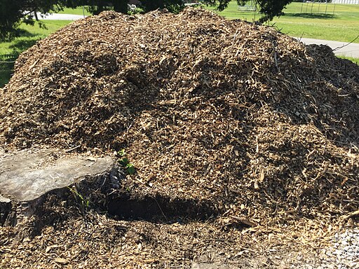 Paillage avec des Copeaux de Bois 7 Raisons et Comment les Obtenir Gratuitement