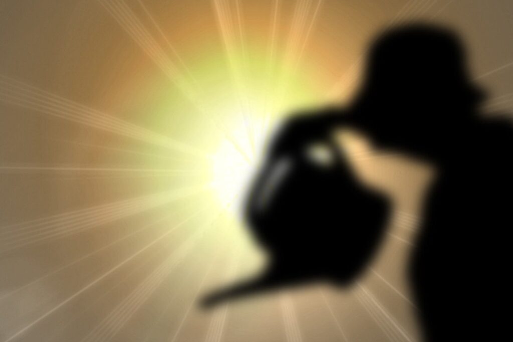 Canicule au jardin : comment protéger vos plantes de la chaleur en été 2025